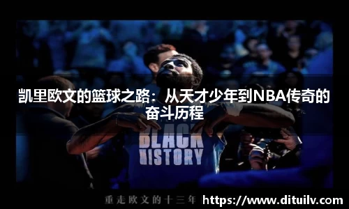 jn江南体育官方网站