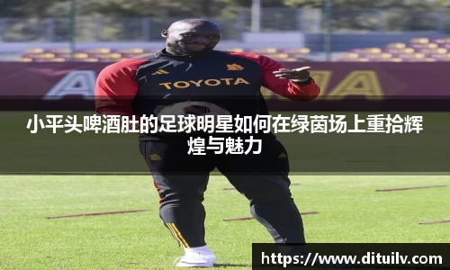 jn江南体育官网