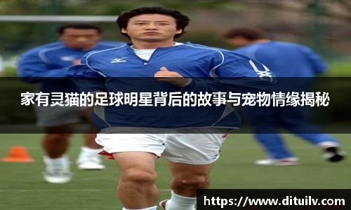 jn江南体育官网